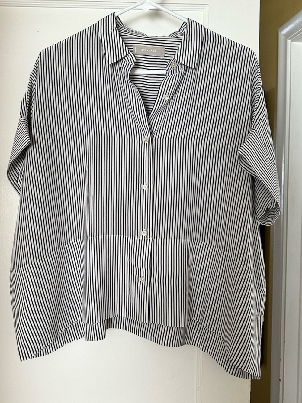 Everlane Silk Black and White Striped Button-Up Shirt